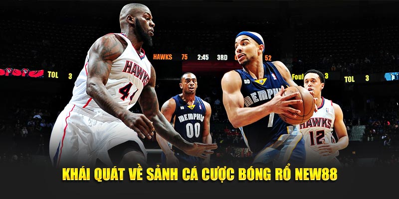 Khái quát về sảnh cá cược bóng rổ NEW88