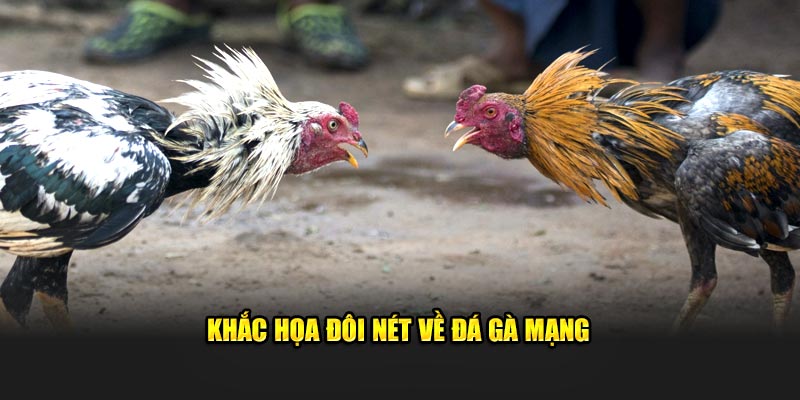 Khắc họa đôi nét về đá gà mạng